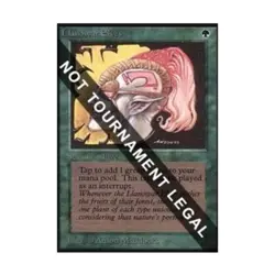 WOTC MtG Collector's Ed Llanowar Elves (CE) (C) NM - Image 1