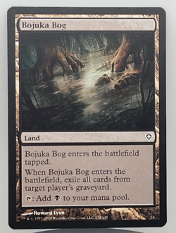 Bojuka Bog - Worldwake (WWK) - Image 1
