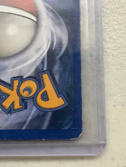 Pokemon TCG Eevee Card Skyridge 54/144 Common MP ✅✅✅ - Image 3