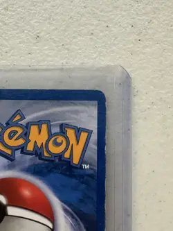 Pokemon TCG Eevee Card Skyridge 54/144 Common MP ✅✅✅ - Image 4