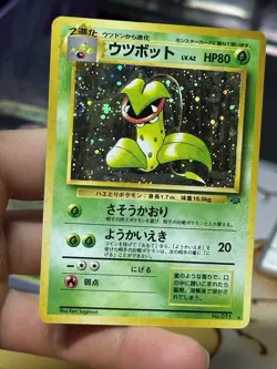 Nidoqueen Jungle Victreebel Japanese Holo Rare Vintage Pokemon Card Lot WOTC - Image 3