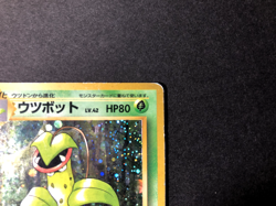 Victreebel Holo (Old Back) 1997 [LP] - Jungle No. 071 Japanese Pokemon Card *USA - Image 3