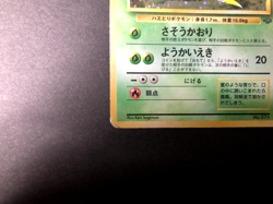 Victreebel Holo (Old Back) 1997 [LP] - Jungle No. 071 Japanese Pokemon Card *USA - Image 4