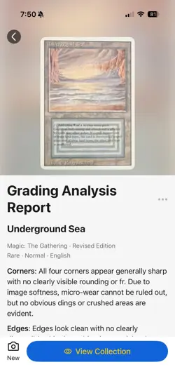 Mtg Underground Sea Revised Edition - Great Condition - Image 3