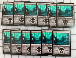 Ravnica Allegiance Guild Kit ORZHOV SWAMP x12 mtg lp or better I Combine Ship - Image 1