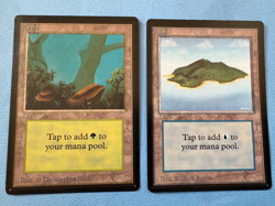 MTG Beta Edition, Island and Forest! 1993 Vintage Magic! - Image 1