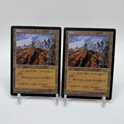 Magic the Gathering Wasteland Foreign FBB CHINESE X 2 Tempest MTG +++ - Image 1