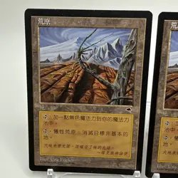 Magic the Gathering Wasteland Foreign FBB CHINESE X 2 Tempest MTG +++ - Image 2
