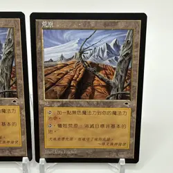 Magic the Gathering Wasteland Foreign FBB CHINESE X 2 Tempest MTG +++ - Image 3