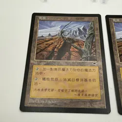 Magic the Gathering Wasteland Foreign FBB CHINESE X 2 Tempest MTG +++ - Image 4