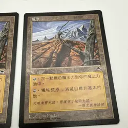 Magic the Gathering Wasteland Foreign FBB CHINESE X 2 Tempest MTG +++ - Image 5