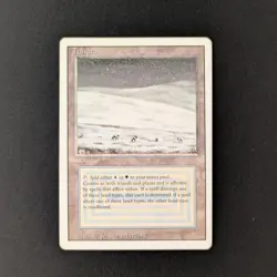MTG \>> Tundra (LP) <<// Revised - 341 Trading - Magic - Image 1