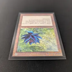 MTG \>> Black Lotus (NM) <<// International Edition - 341 Trading - Magic - Image 4