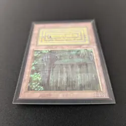 MTG \>> Bayou (NM) <<// International Edition - 341 Trading - Magic - Image 4