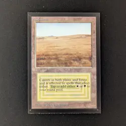 MTG \>> Savannah (NM) <<// International Edition - 341 Trading - Magic - Image 1