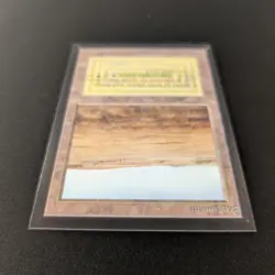 MTG \>> Savannah (NM) <<// International Edition - 341 Trading - Magic - Image 4