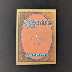 MTG \>> Scrubland (NM) <<// International Edition - 341 Trading - Magic - Image 2