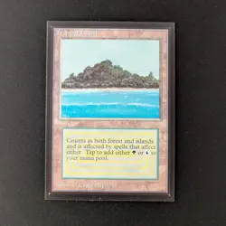 MTG \>> Tropical Island (NM) <<// International Edition - 341 Trading - Magic - Image 1