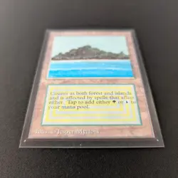 MTG \>> Tropical Island (NM) <<// International Edition - 341 Trading - Magic - Image 3