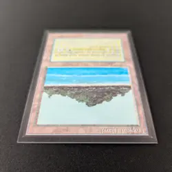 MTG \>> Tropical Island (NM) <<// International Edition - 341 Trading - Magic - Image 4