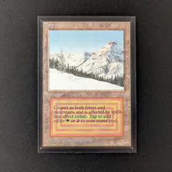 MTG \>> Taiga (NM) <<// International Edition - 341 Trading - Magic - Image 1