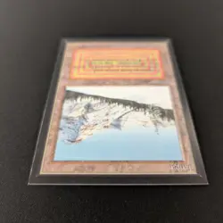 MTG \>> Taiga (NM) <<// International Edition - 341 Trading - Magic - Image 4