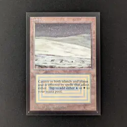 MTG \>> Tundra (NM) <<// International Edition - 341 Trading - Magic - Image 1