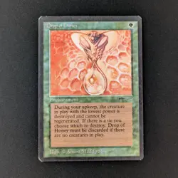 MTG \>> Drop of Honey (EX) <<// Arabian Nights - 341 Trading - Magic - Image 1