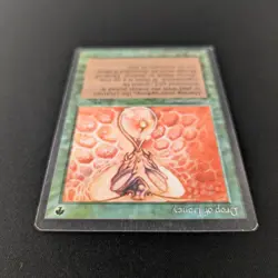 MTG \>> Drop of Honey (EX) <<// Arabian Nights - 341 Trading - Magic - Image 4