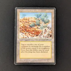 MTG \>> Diamond Valley (LP) <<// Arabian Nights - 341 Trading - Magic - Image 1