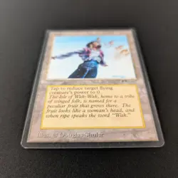 MTG \>> Island of Wak-Wak (LP) <<// Arabian Nights - 341 Trading - Magic - Image 3