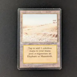 MTG \>> Elephant Graveyard (LP) <<// Arabian Nights - 341 Trading - Magic - Image 1
