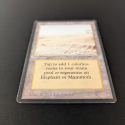 MTG \>> Elephant Graveyard (LP) <<// Arabian Nights - 341 Trading - Magic - Image 3