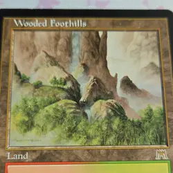 Magic The Gathering Onslaught Land Lot 2 Bloodstained Mire Wooded Foothills - Image 4
