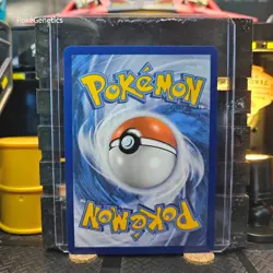 Camerupt Paldean Fates Reverse Holo Pokemon TCG 012/091 Scarlet Violet Uncommon - Image 5