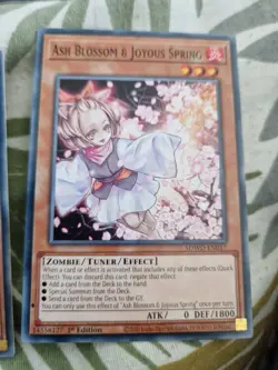 SDWD-EN017 Ash Blossom & Joyous Spring : Common X3! : 1st Edition : YuGiOh TCG - Image 4