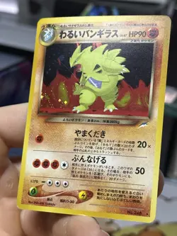 Dark Tyranitar Neo Destiny Japanese Typhlosion Vintage Pokemon Card Lot WOTC - Image 4