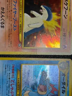 (LP/MP) Typhlosion Meganium Feraligatr Holo Premium File Japanese Pokemon Card - Image 5