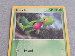 NM Treecko 016 Black Star Promo Pokemon Card NM 2004 nintendo - Image 2