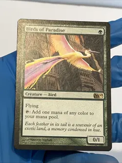 Birds of Paradise - Magic 2010 MTG - Condition Shown In Many Pictures - Image 3