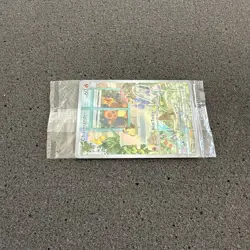 Sealed Charmander - Holo Promo SV: Scarlet & Violet Promo Cards 044 - Image 4