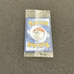 Sealed Charmander - Holo Promo SV: Scarlet & Violet Promo Cards 044 - Image 5