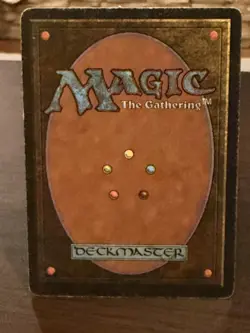 MTG Revised Dual Land Volcanic Island Reserved List 1994 Magic LP Signed - Image 2