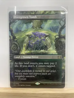 Overgrown Tomb (Borderless) - Lorwyn Eclipsed - NM - Rare - Land - Image 1
