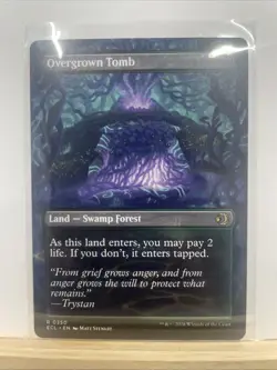 Overgrown Tomb (Borderless) - Lorwyn Eclipsed - NM - Rare - Land - Image 2