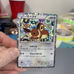 Eevee Collection Black & White 189/BW-P Pokemon Card Japanese - Image 1