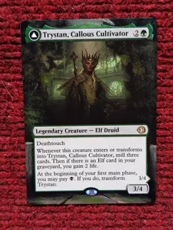 Trystan Callous Cultivator MTG Lorwyn Eclipsed Hand Painted Extended Altered Art - Image 1
