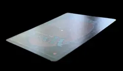 MAGIC THE GATHERING MTG - Arabian Nights *** WYLULI WOLF *** Lightly Played - Image 4