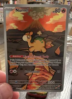 Numel 223/217 Illustration Rare Ascended Heroes Pokemon- Pack Fresh Ships fast - Image 1