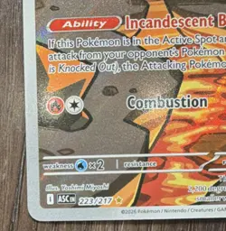 Numel 223/217 Illustration Rare Ascended Heroes Pokemon- Pack Fresh Ships fast - Image 5